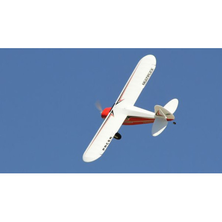 Flugzeug Multiplex RR Pacer