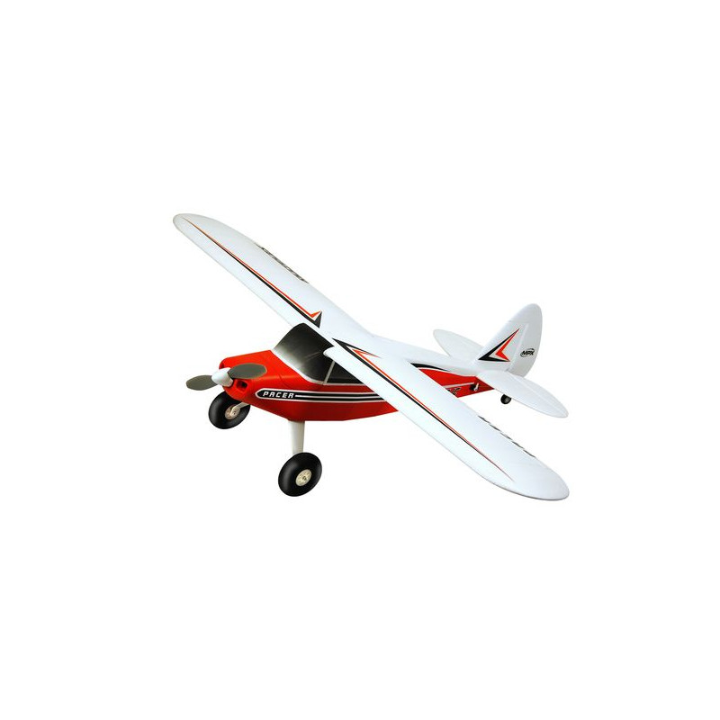 Flugzeug Multiplex RR Pacer