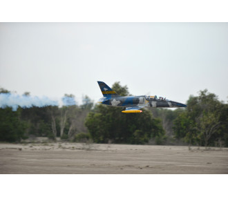 Jet Black Horse L-39 ALBATROS 1.72 M 2