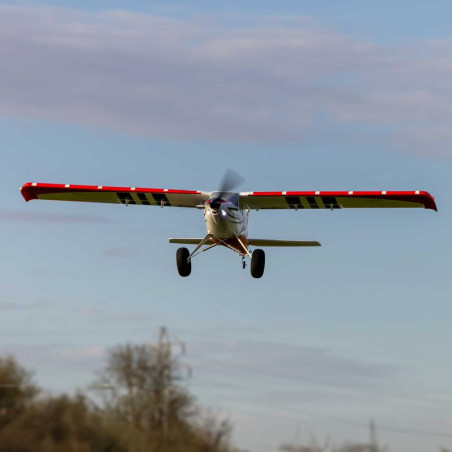 Turbo Timber Evolution 1,5 m BNF Basic, con galleggianti - FLASHRC