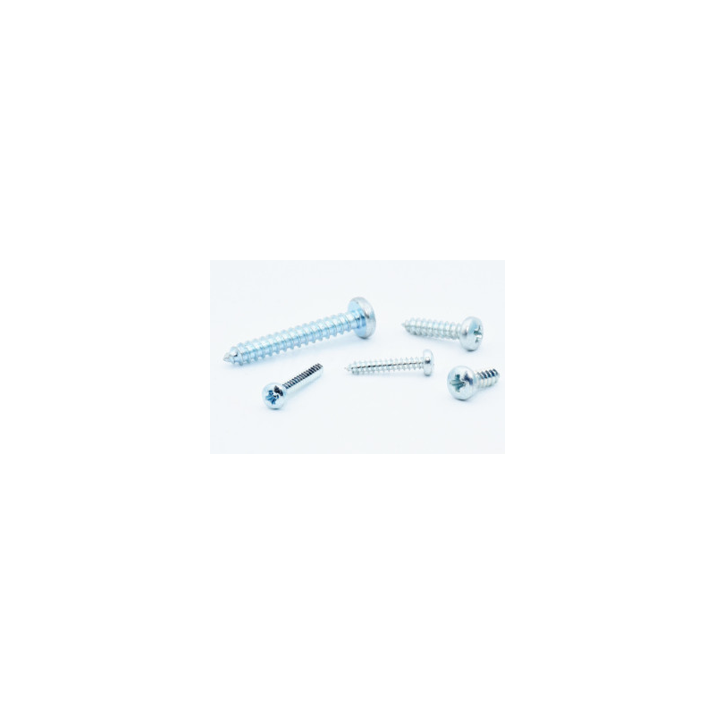 Vis auto taraudeuse cylindrique 2,9X9,5 10pcs - FLASH RC