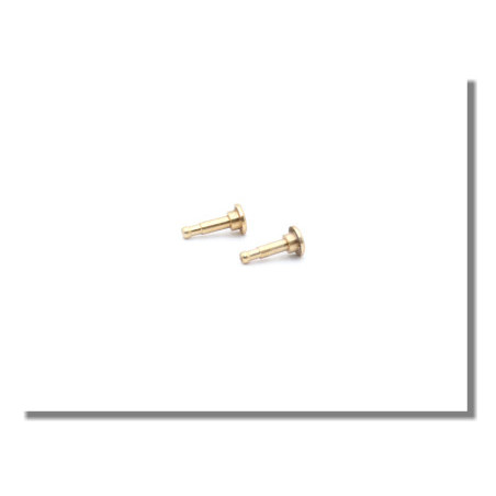 AXE DE RECHANGE Ã¸1mm (pour 1312101) 10pcs - FLASH RC