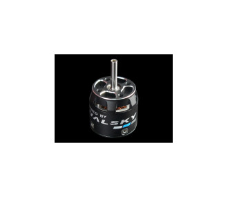 Moteur Dualsky XM2527EG-16 (37,5g, 2300KV) 2