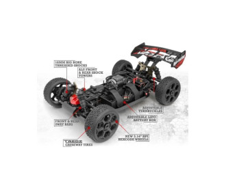 FLUSSO VORZA BUGGY