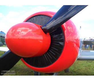 DIÁFRAGO FACTICE Ø260mm 2