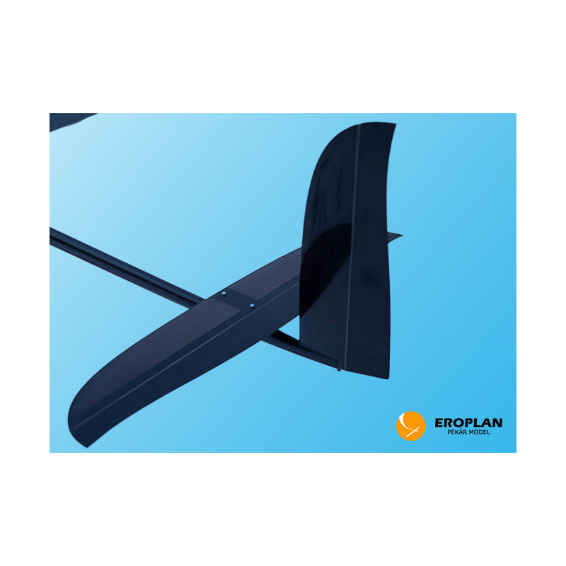 Motoplaneur Eroplan tout fibre Kappa 28 env 2.85m avec housses et LDS