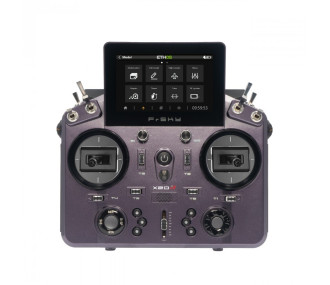Radio Tandem X20R tiempo gris EU FR Sky