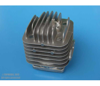 Cilindro DLE55RA 1pc