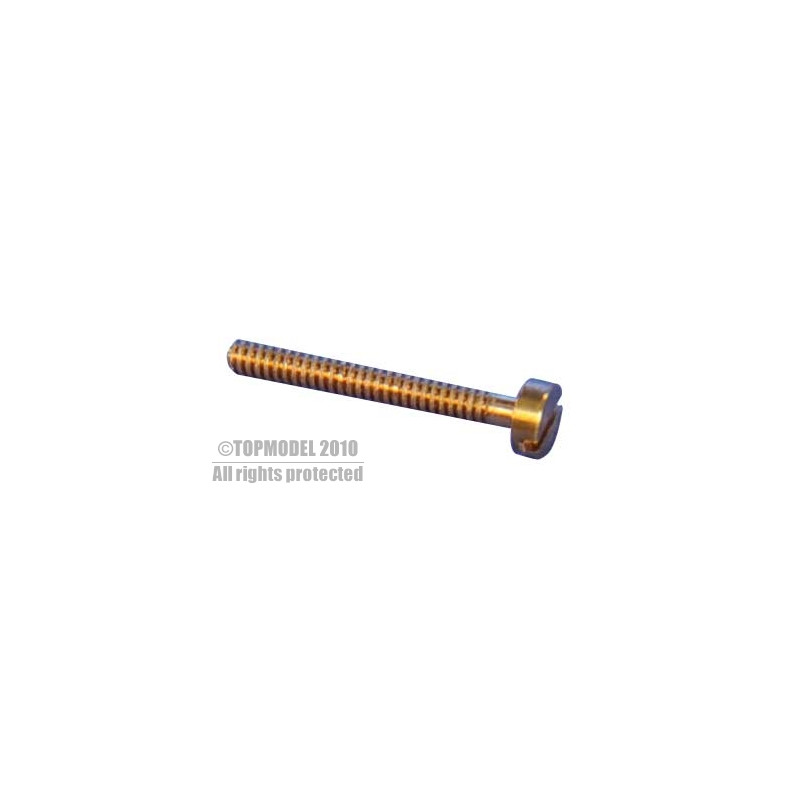 TC TORNILLO DE LATÓN M1x4 10pcs