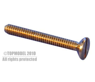 BRASS SCREW TF M1x10 10pcs
