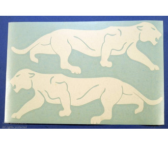 JUEGO DE INSIGNIAS DEL ESCUADRÓN "LEOPARDO DE BORNEO" BLANCO