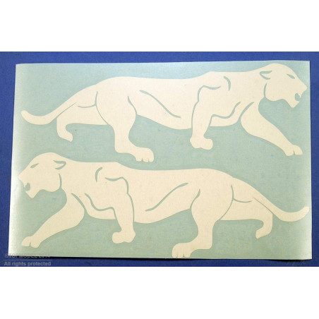 JEU INSIGNE ESCADRILLE "LEOPARD DE BORNEO" BLANC - FLASH RC