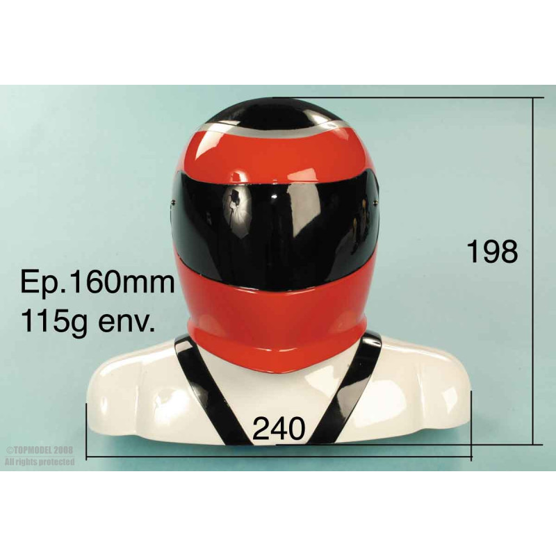 PILOTE INTEGRAL 1:2,5 - JAUNE - NOIR - ARGENT - FLASH RC