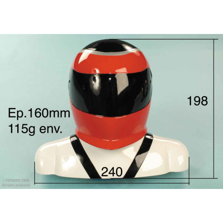 PILOTE INTEGRAL 1:2,5 - JAUNE - NOIR - ARGENT - FLASH RC