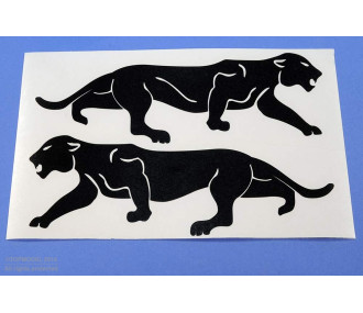 JUEGO DE INSIGNIAS DEL ESCUADRÓN "LEOPARDO DE BORNEO" NEGRO