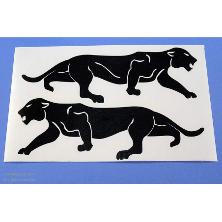 JEU INSIGNE ESCADRILLE "LEOPARD DE BORNEO" NOIR - FLASH RC