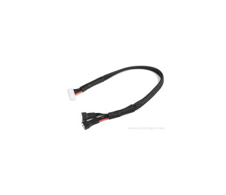 GForce GF-1420-001 Câble adaptateur d'équilibrage 6S-Xh femelle en 2X 3S -Xh mâle 30Cm 22Awg Câble silicone 1 pc