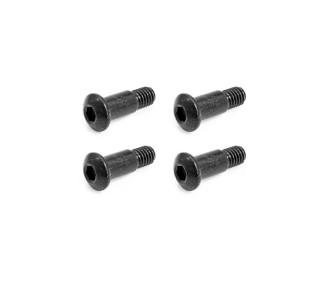 Rogue Terra front caliper bolts