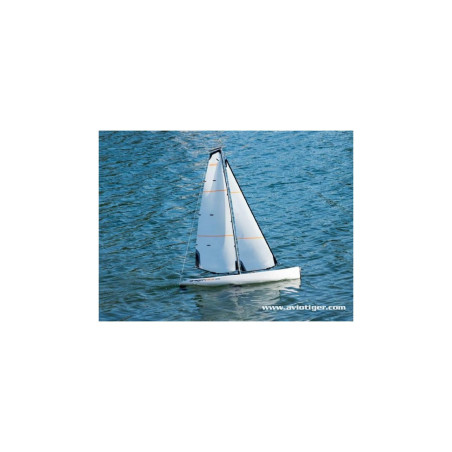 DRAGON FLITE 95 RTR