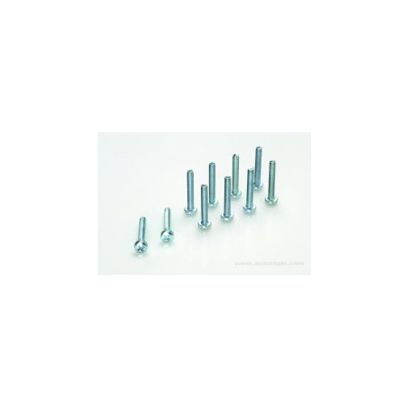 CROSS-HEAD BOMB SCREW M3X30 STEEL