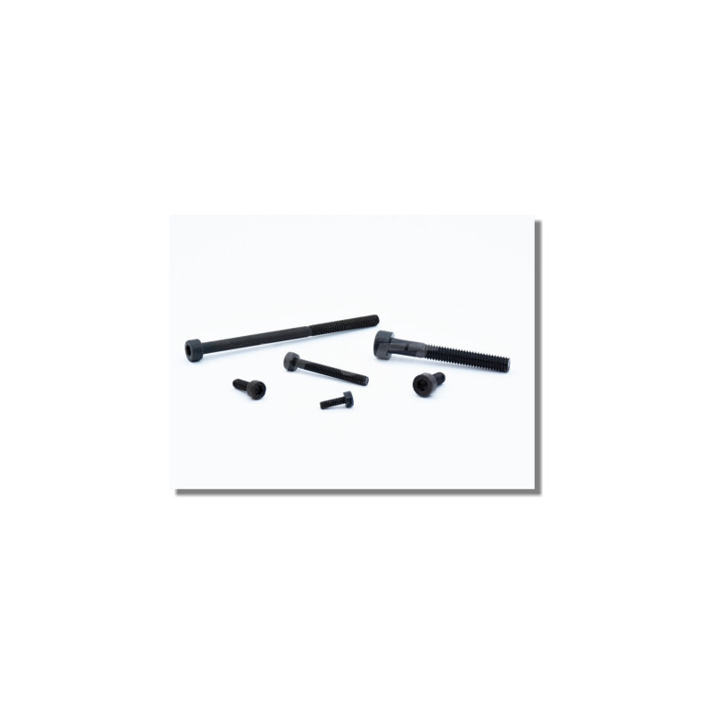 TORNILLO 6 CUADRADO M2x12 mm 4pcs