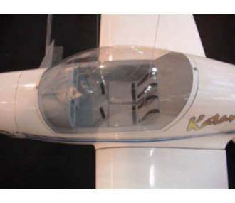 Aeronaut KATANA DV 20 aircraft