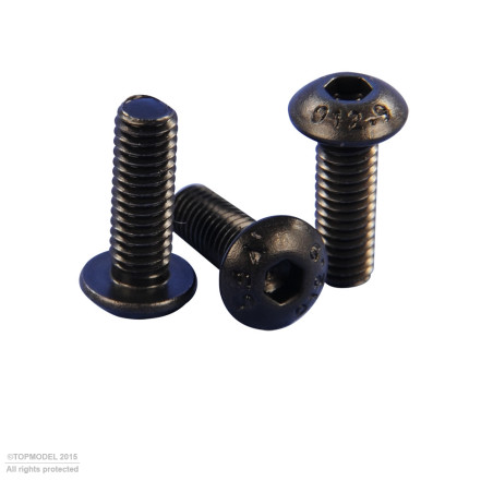 BOLT HEAD SCREW M2x4mm 10pcs