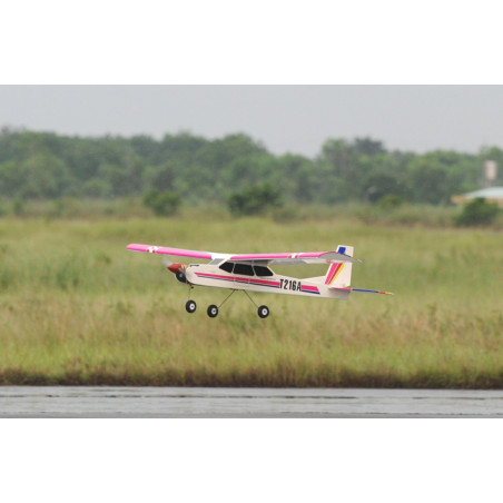 Beginner RC Aircraft - Phoenix Model Canary .46-55 GP/EP ARF 1.54m - FLASH RC