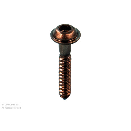 TORNILLO ROSCADO 2.3x15mm CABEZA CHC 30pcs