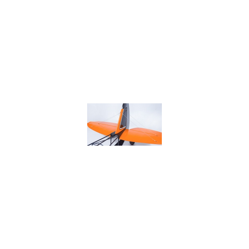 Aereo DW Hobby Savage Bobber 2.33m PNP