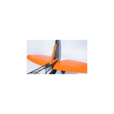 Aereo DW Hobby Savage Bobber 2.33m PNP