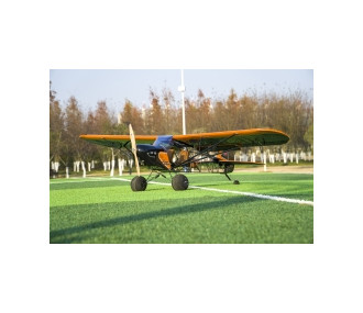 Aircraft DW Hobby Savage Bobber 2.33m PNP