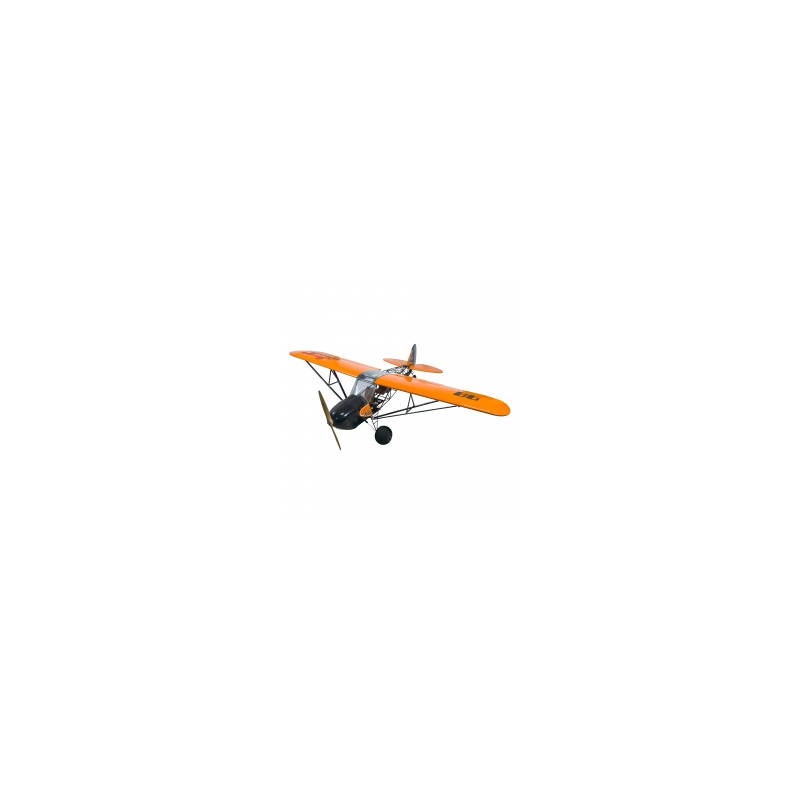 Avion DW Hobby Savage Bobber 2.33m PNP