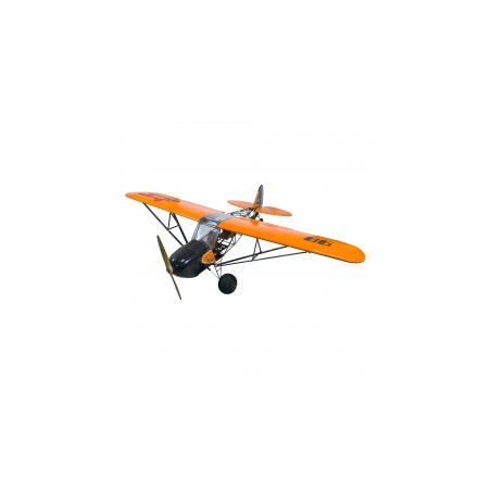 Aircraft DW Hobby Savage Bobber 2.33m PNP