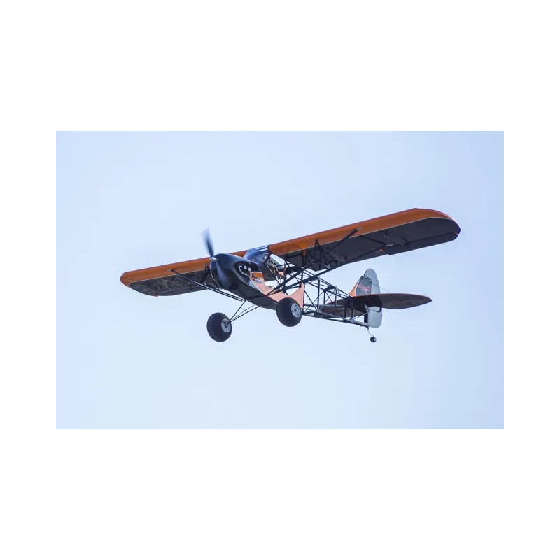 Avion DW Hobby Savage Bobber 1,88M ARF avec esc + moteur + servo