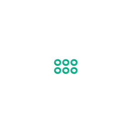 Type O ring set (M1 EVO)