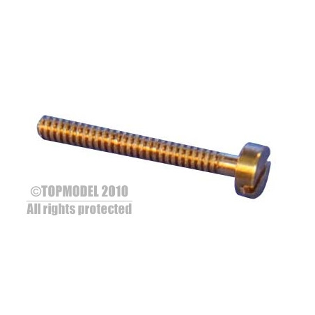 TC VITE IN OTTONE M1x8 10 pz.