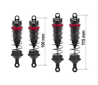 Kit di 4 ammortizzatori Big Bore Alu per Rogue + supporti