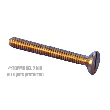 TORNILLO LATÓN TF M1,2x8 10pcs