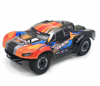 Short Course Baja 1/24 2WD Avec Gyro - FLASH RC