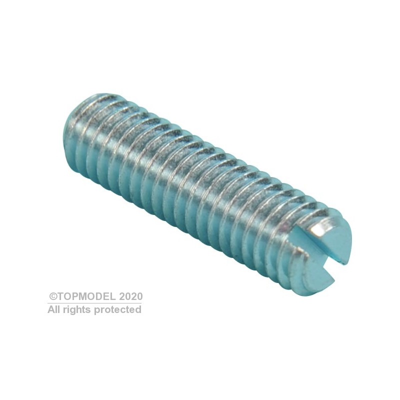 VIS FENDUE SANS TETE M5x20 mm 4pcs