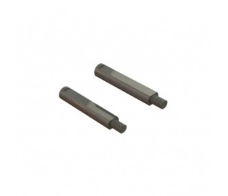 Ricambi per auto RC - Perno centrale ARRMA (2) - ARA320529 - FLASH RC