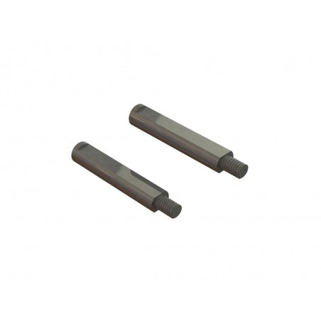 Ricambi per auto RC - Perno centrale ARRMA (2) - ARA320529 - FLASH RC