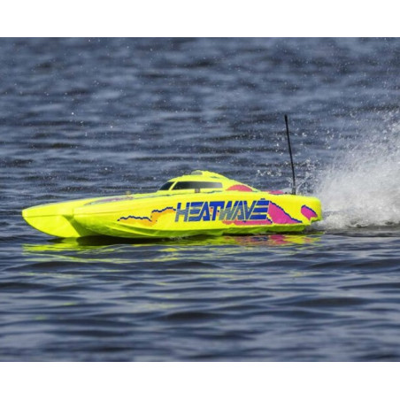 Blackjack 24" V2 Catamaran Brushless RTR, Heatwave jaune - FLASH RC