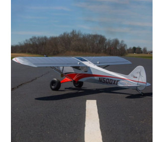 Avion CubCrafters XCub Hangar 9 2