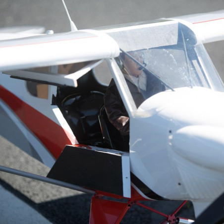 Avion CubCrafters XCub Hangar 9