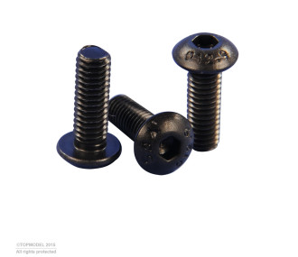VIS Chc TETE BOMBEE M2,5x20mm 10pcs