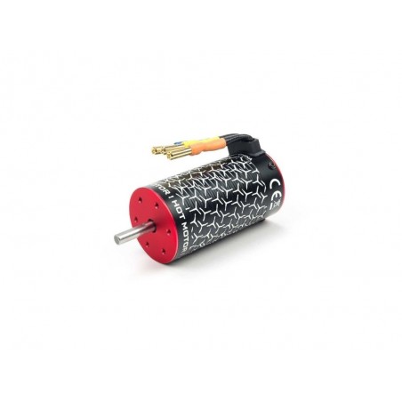 Ersatzteile RC-Cars - ARRMA BLX 3668 2400kV 4 Pole 4S Brushless Motor - ARA390265 - FLASH RC