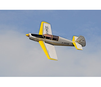 RC-Flugzeugmodelle - DALOTEL DM-165 VIKING 2,80m ARF - FLASH RC
