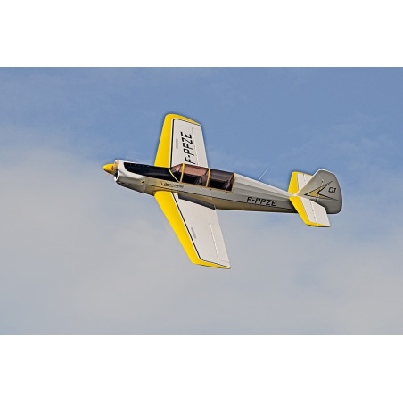 DALOTEL DM-165 VIKING 2,80m ARF - FLASH RC